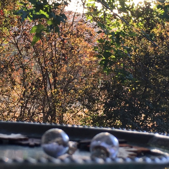 3 Pairs White Star Confetti Double Stud Earrings - Picture 5 of 5